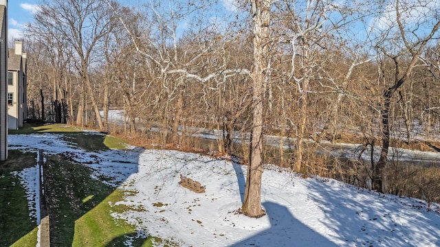 view of yard covered in snow