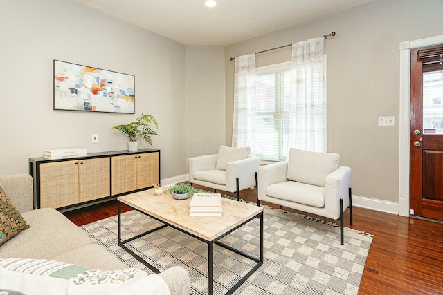 living room with hardwood / wood-style flooring