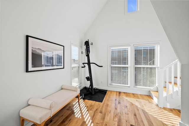 exercise room featuring wood-type flooring and high vaulted ceiling