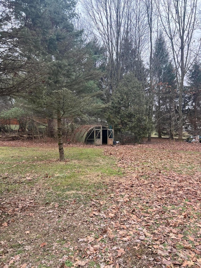 view of yard with an outbuilding