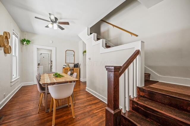 dining room with ceiling fan and dark hardwood / wood-style flooring