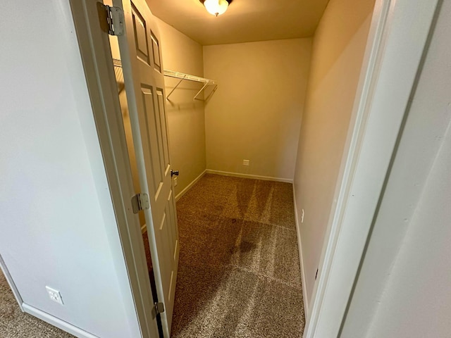 walk in closet featuring dark colored carpet