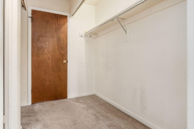 walk in closet featuring carpet flooring