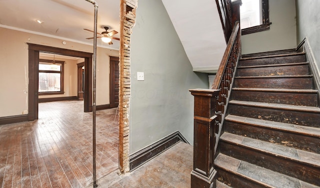 stairs with wood-type flooring, ornamental molding, and ceiling fan