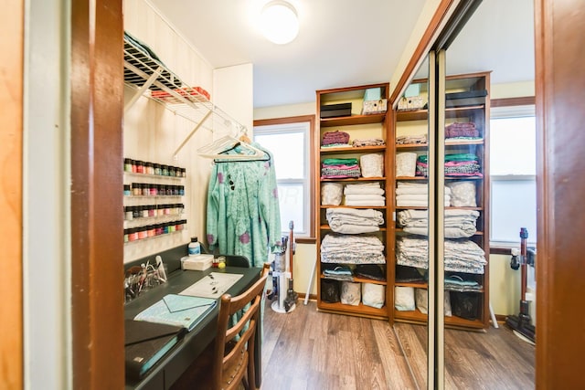 spacious closet with wood-type flooring