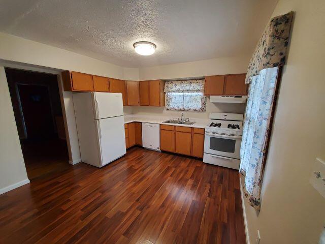 kitchen featuring dark hardwood / wood-style flooring, sink, a textured ceiling, and white appliances