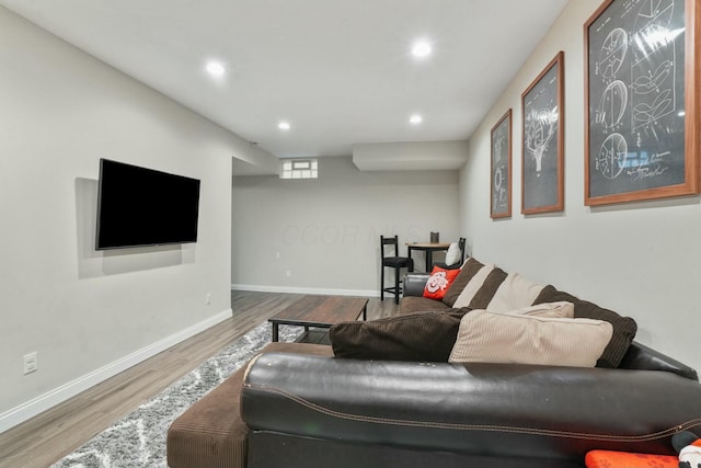 living room featuring wood-type flooring