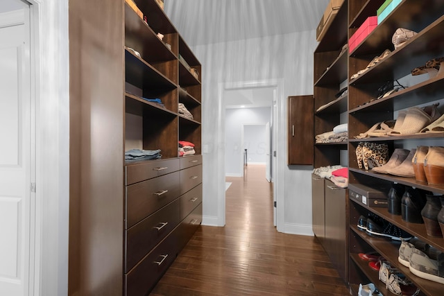 walk in closet featuring dark wood-style floors