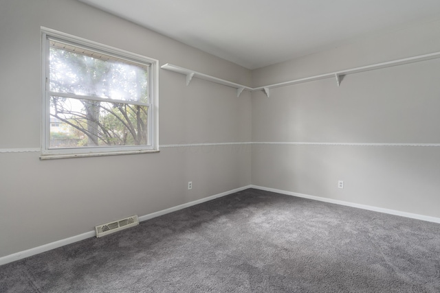 spacious closet featuring carpet floors