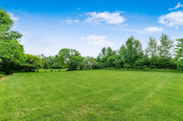 6879 E Walnut St, Westerville, OH 43081 - photo 46