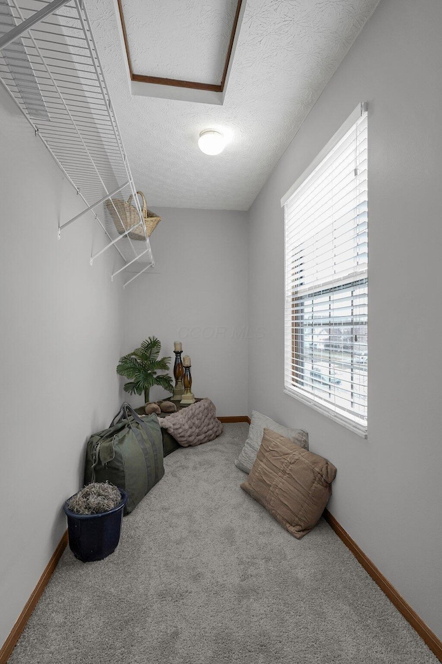 interior space featuring carpet floors and a textured ceiling