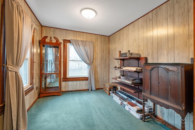 misc room featuring carpet floors, a wealth of natural light, and wood walls