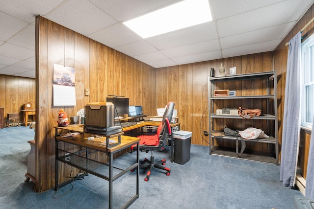 office with a paneled ceiling, wood walls, and carpet