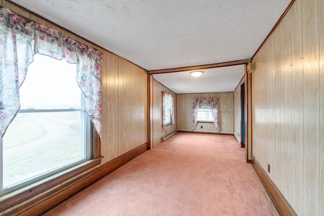 spare room featuring wooden walls, light carpet, and a textured ceiling