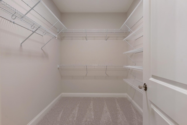 spacious closet featuring carpet