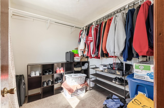 view of spacious closet