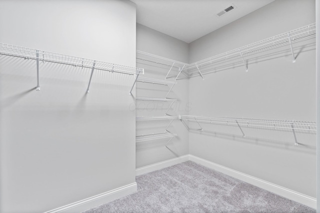 408 Village Ln, Sunbury, OH 43074 - photo 24