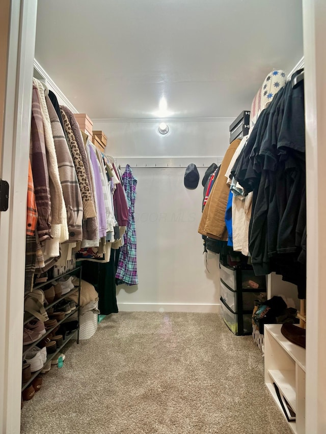 walk in closet with carpet