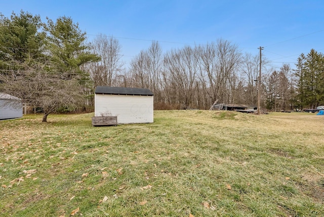 view of yard with a storage shed