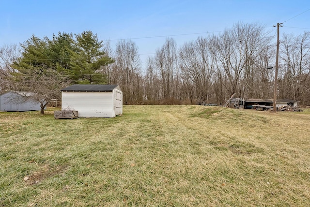 view of yard featuring a storage unit