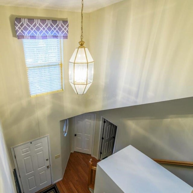 foyer with dark hardwood / wood-style flooring