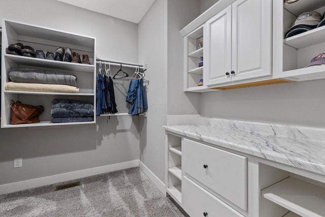 spacious closet featuring light colored carpet