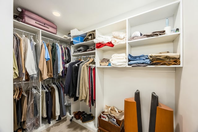 view of spacious closet