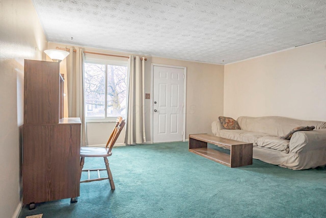 carpeted living area with a textured ceiling