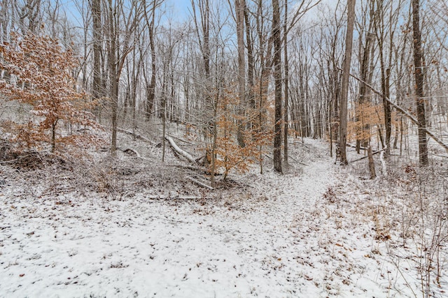 view of snow covered land