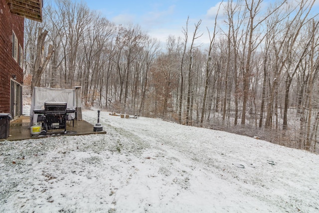 view of snowy yard