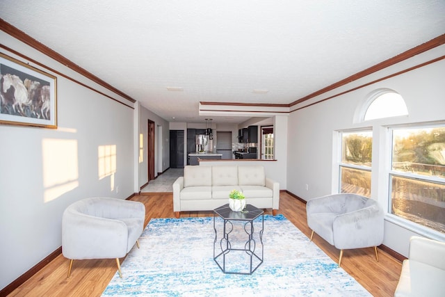 living room featuring ornamental molding, a textured ceiling, and light hardwood / wood-style floors