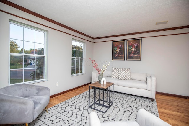 living room featuring hardwood / wood-style flooring, crown molding, and a textured ceiling