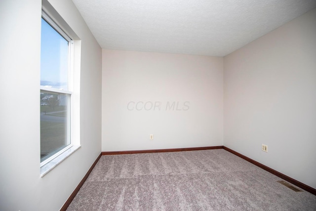 unfurnished room with carpet flooring and a textured ceiling