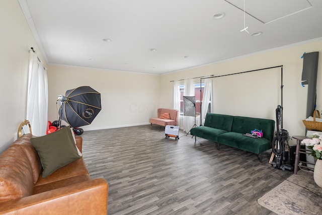 living room featuring ornamental molding and dark hardwood / wood-style floors