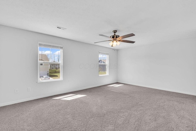 spare room with carpet floors, baseboards, and plenty of natural light