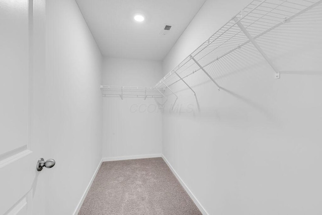 spacious closet featuring carpet floors