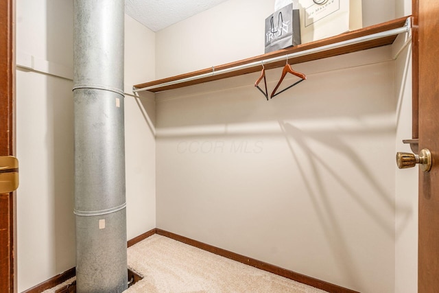 spacious closet with carpet flooring