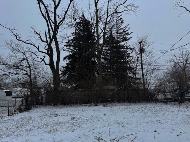 view of yard covered in snow