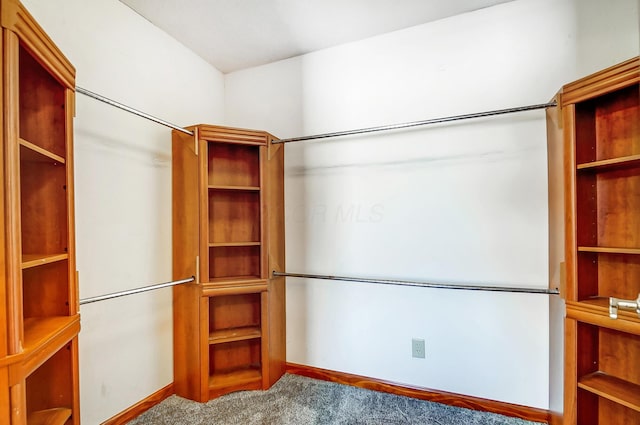 spacious closet with carpet