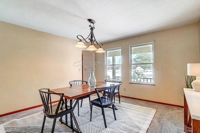 dining room with carpet flooring