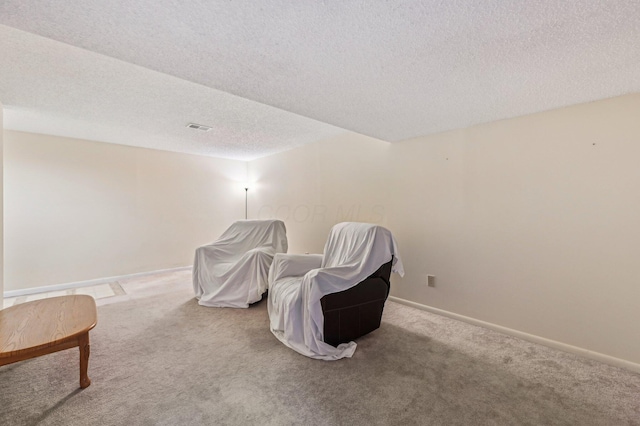 sitting room with carpet floors and a textured ceiling