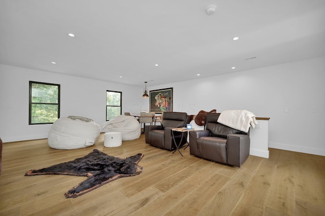 living room featuring light hardwood / wood-style floors