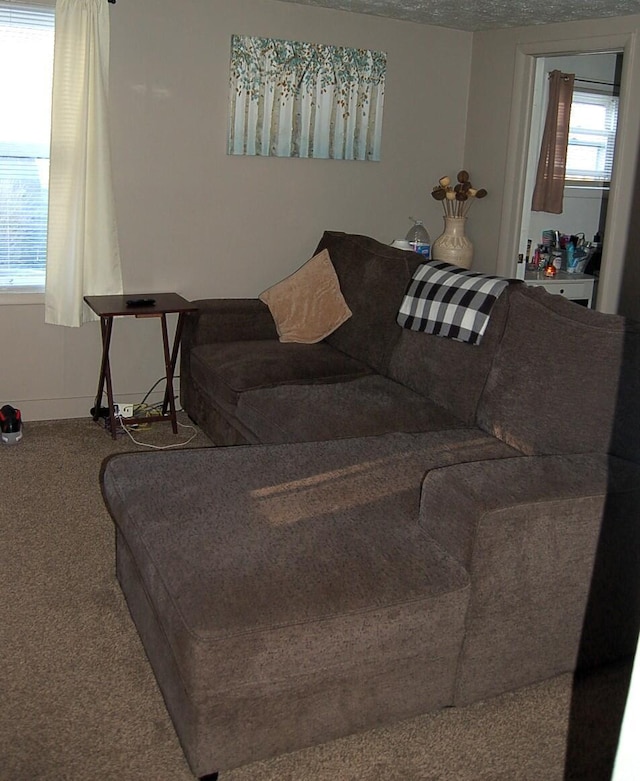 living room featuring carpet, baseboards, and a textured ceiling