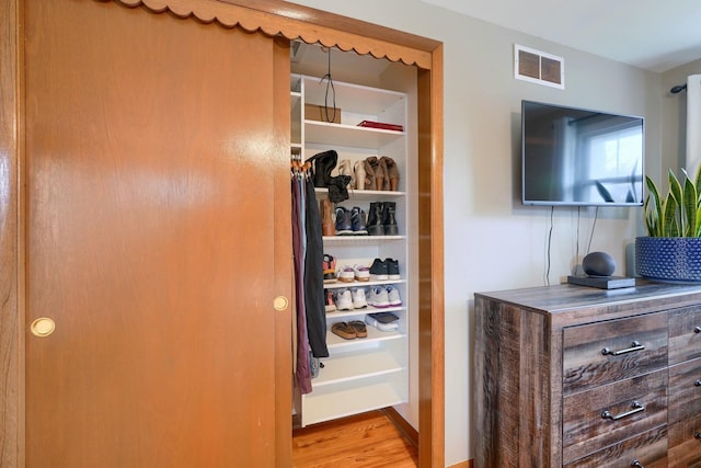 view of closet