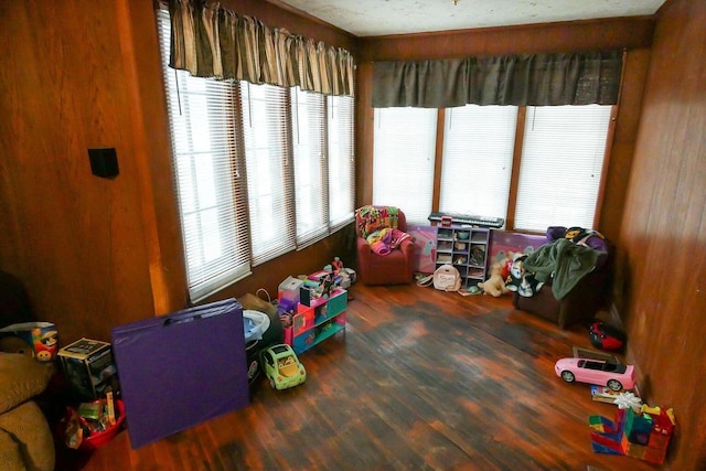 playroom with a wealth of natural light and dark hardwood / wood-style floors