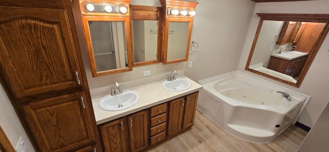 bathroom with vanity, hardwood / wood-style floors, and a washtub