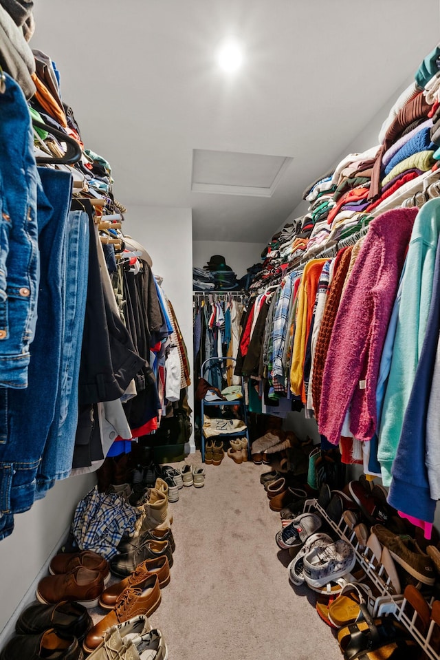 walk in closet with attic access and carpet