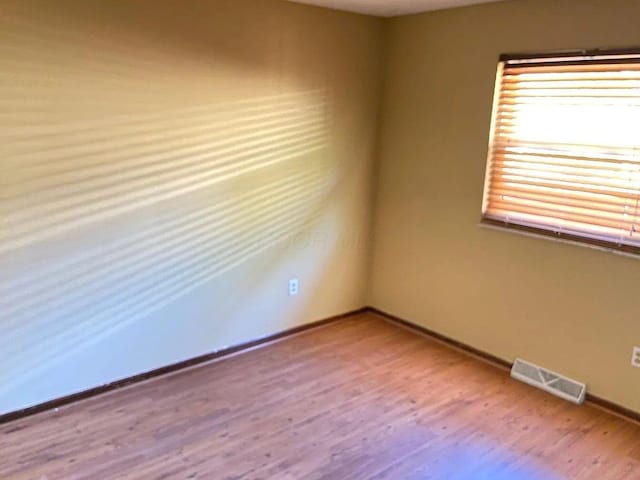 spare room featuring wood-type flooring