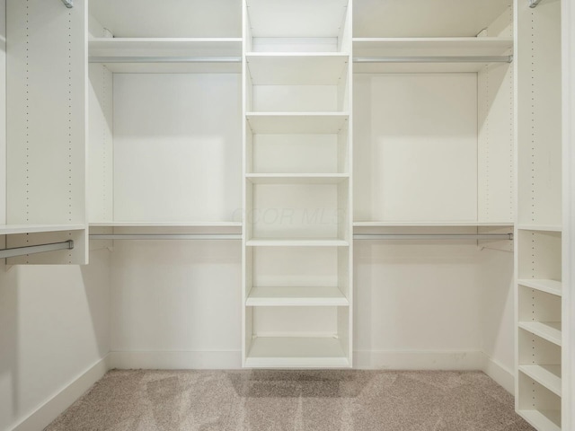 walk in closet featuring carpet