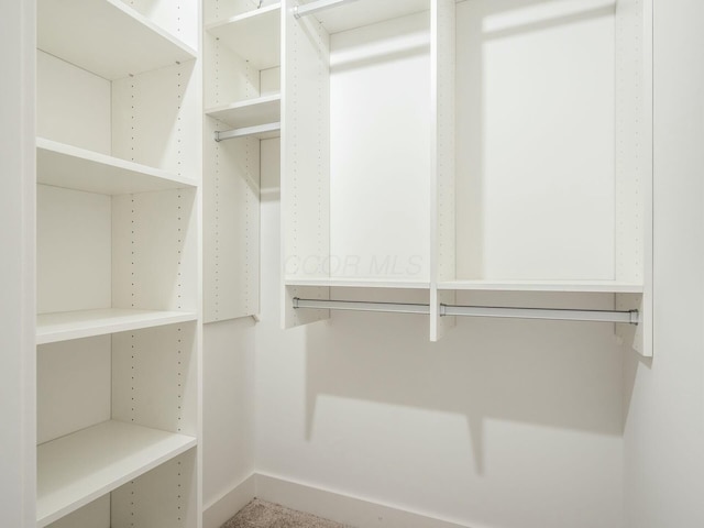 view of spacious closet